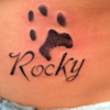 rockydice